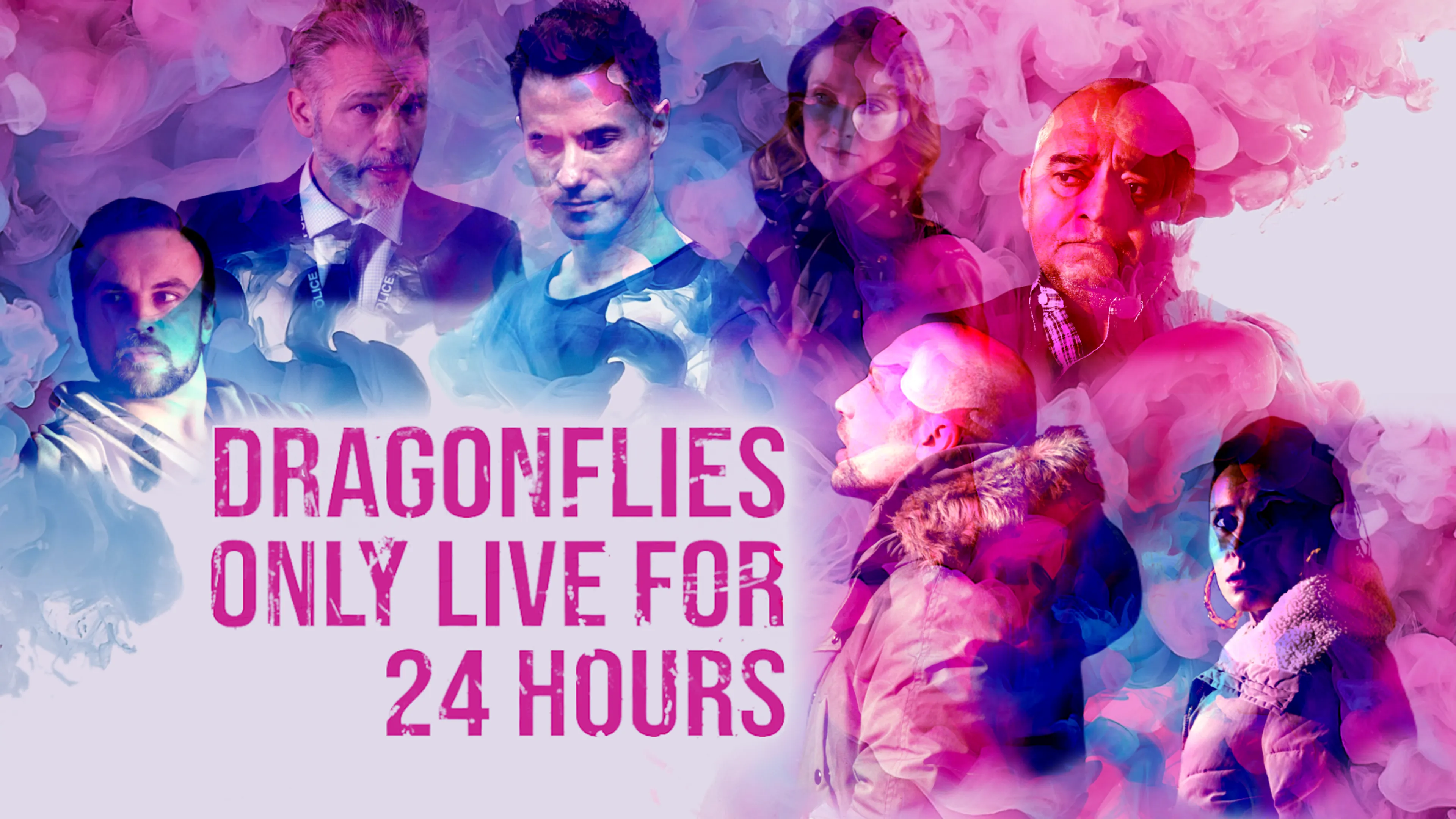 Dragonflies Only Live for 24 Hours poster